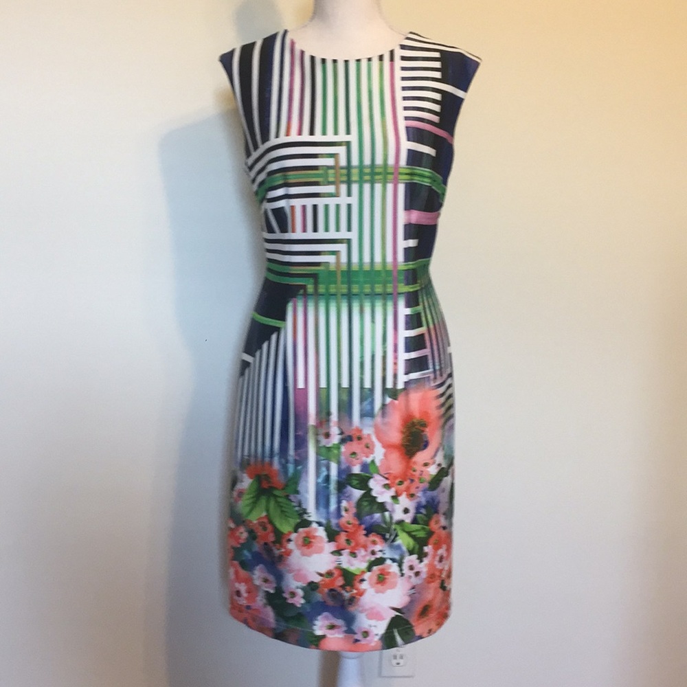 Madison Leigh Multicolor Stripe/Floral SheathDress
